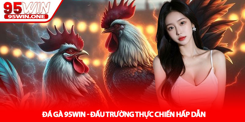 Đá Gà 95Win - Đấu Trường Thực Chiến Hấp Dẫn 1 Đá Gà 95Win - Đấu Trường Thực Chiến Hấp Dẫn