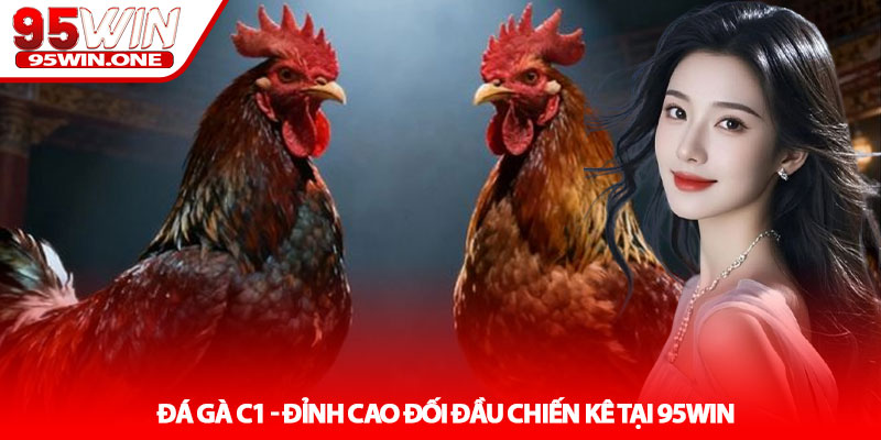 Đá gà C1 - Đỉnh cao đối đầu chiến kê tại 95Win 7 Đá gà C1 - Đỉnh cao đối đầu chiến kê tại 95Win