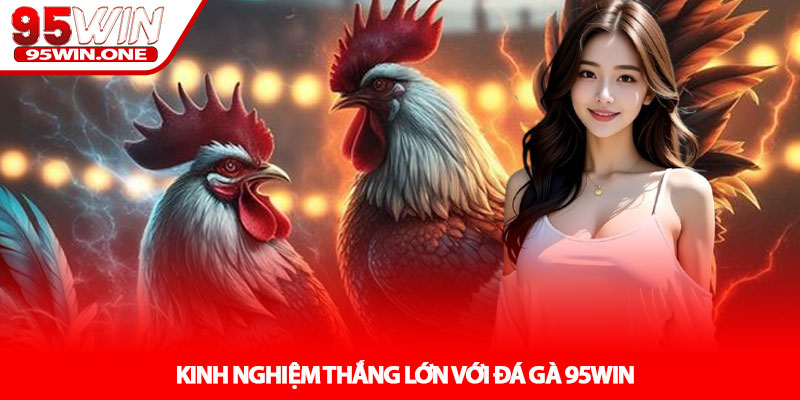 Đá Gà 95Win - Đấu Trường Thực Chiến Hấp Dẫn 4 Kinh Nghiệm Thắng Lớn Với Đá Gà 95Win