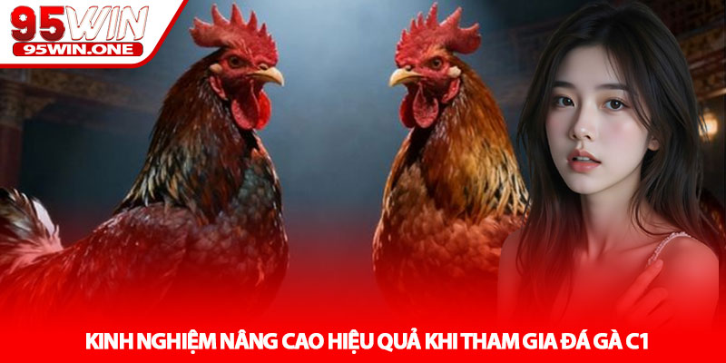 Đá gà C1 - Đỉnh cao đối đầu chiến kê tại 95Win 4 Kinh nghiệm nâng cao hiệu quả khi tham gia Đá gà C1