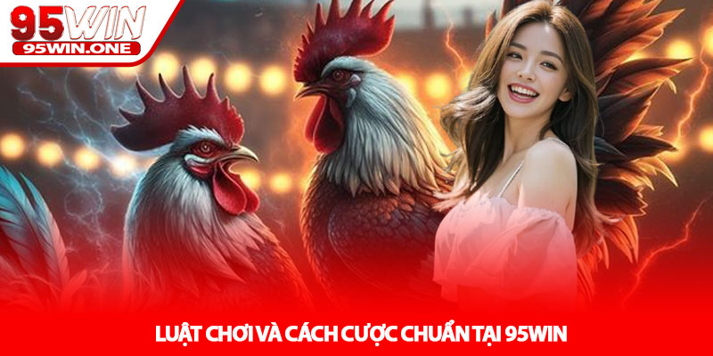 Đá Gà 95Win - Đấu Trường Thực Chiến Hấp Dẫn 2 Luật Chơi Và Cách Cược Chuẩn Tại 95Win